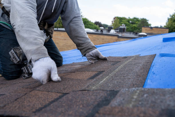 Best Roof Insulation Installation  in Burr Ridge, IL